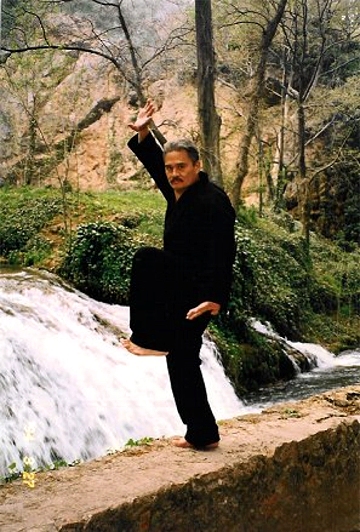 soke thomas mitose